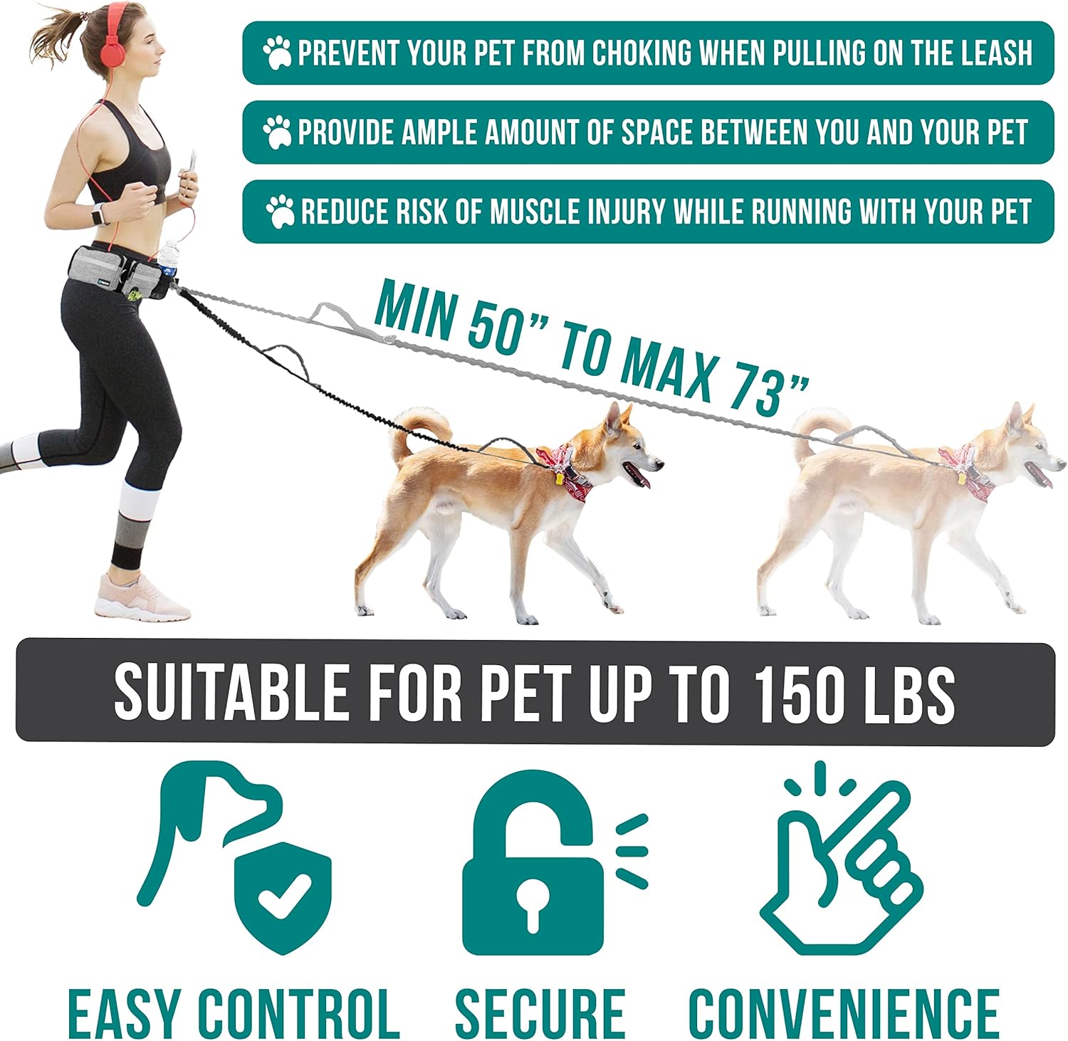 宠物腰带、牵引绳